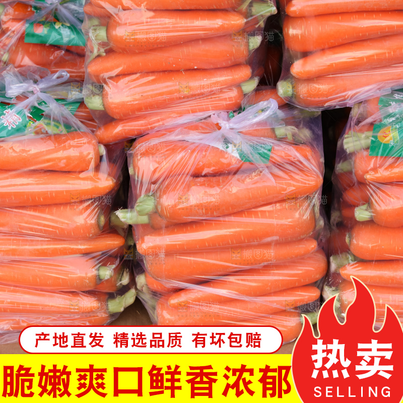 堆放着的胡萝卜