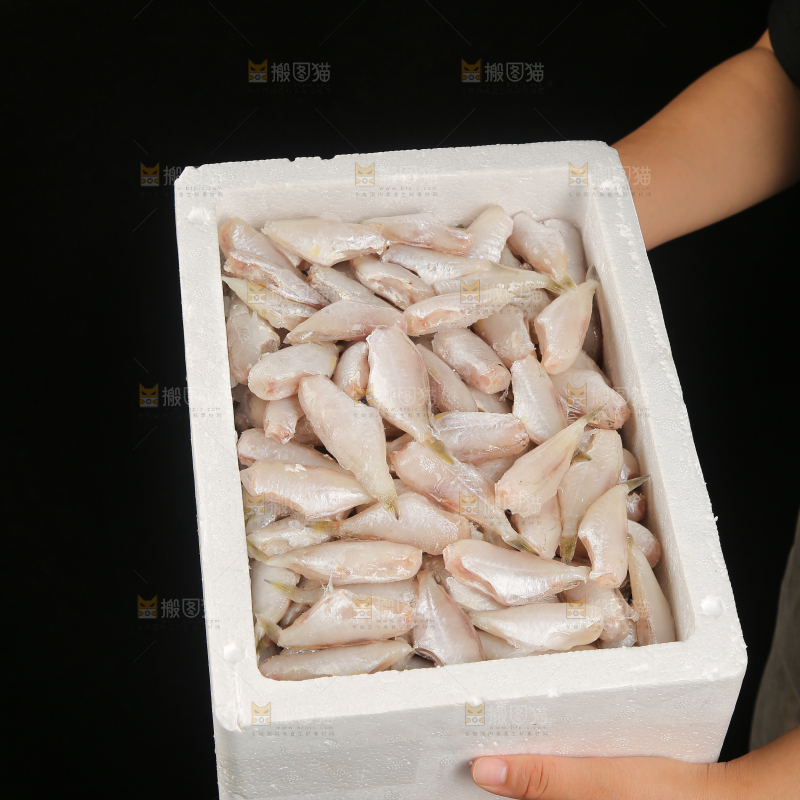 深底上的耗儿鱼