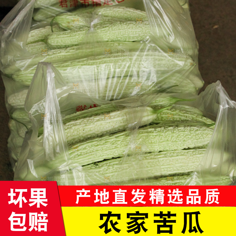 堆放着的新鲜苦瓜
