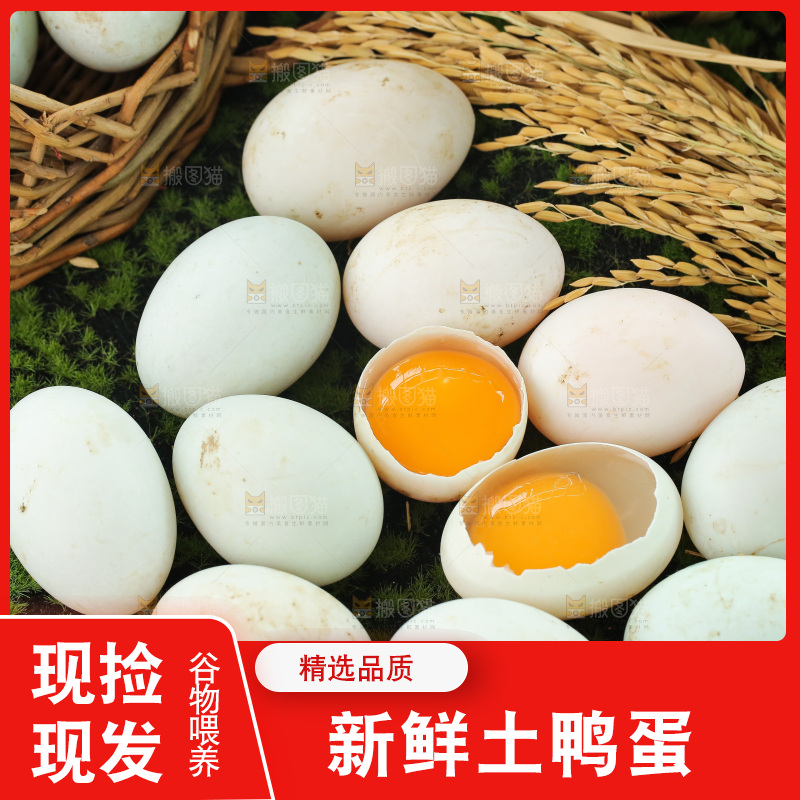 深底上的鸭蛋