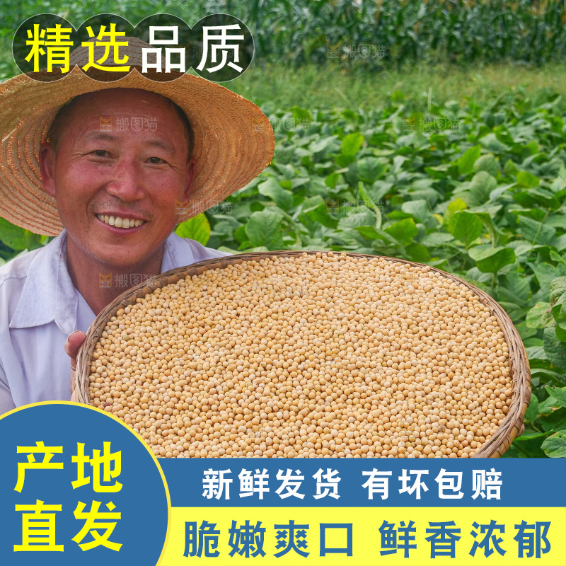手里拿着黄豆