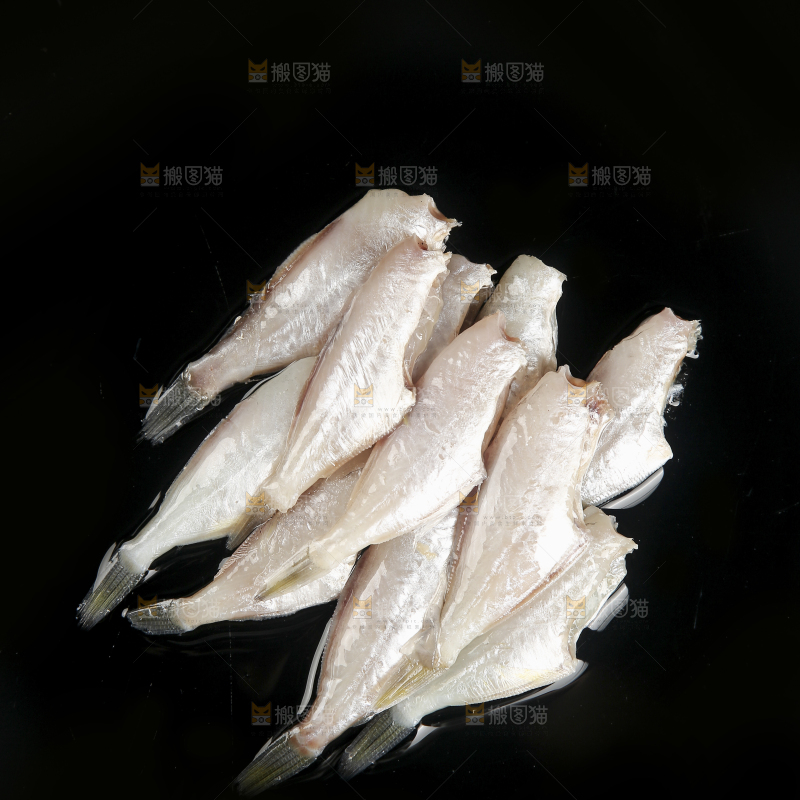 深底上的耗儿鱼