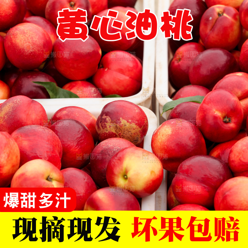 现摘的新鲜黄心油桃