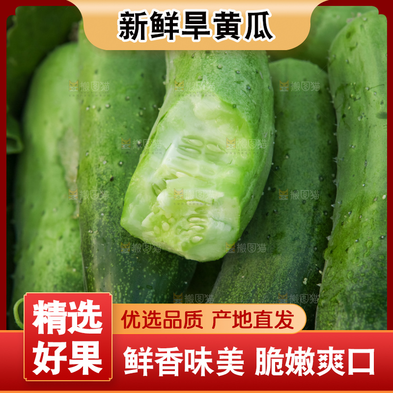 手里拿着刺黄瓜
