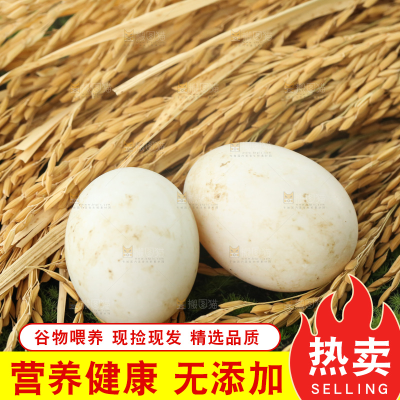深底上的鸭蛋