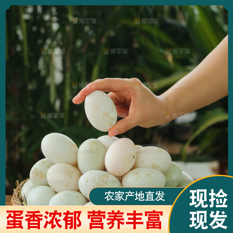 深底上的鸭蛋