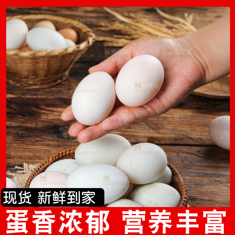 深底上的鸭蛋