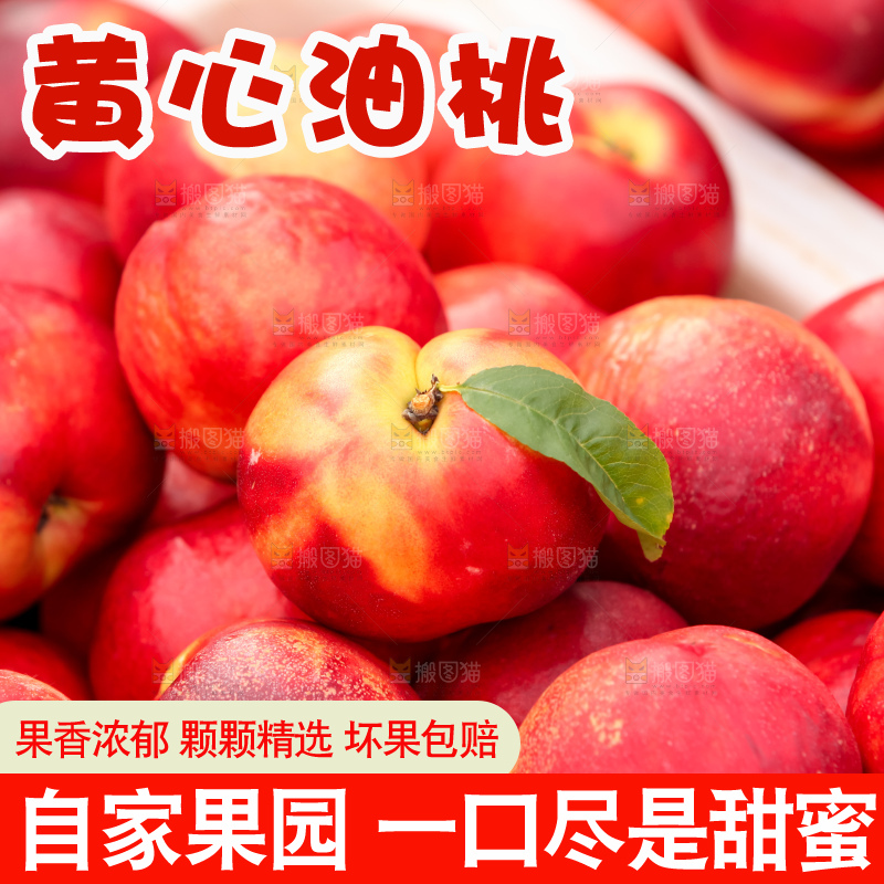 现摘的新鲜黄心油桃