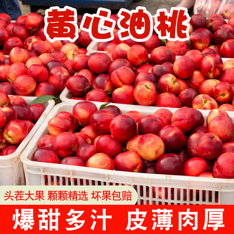 现摘的新鲜黄心油桃