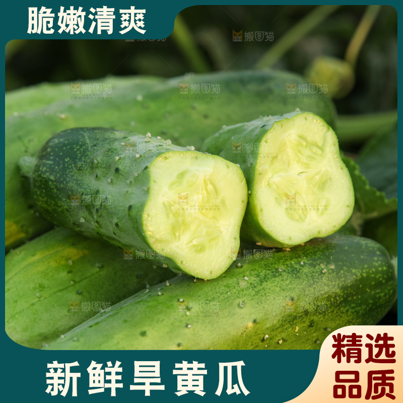 手里拿着刺黄瓜