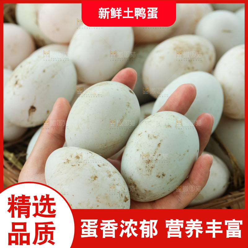 深底上的鸭蛋