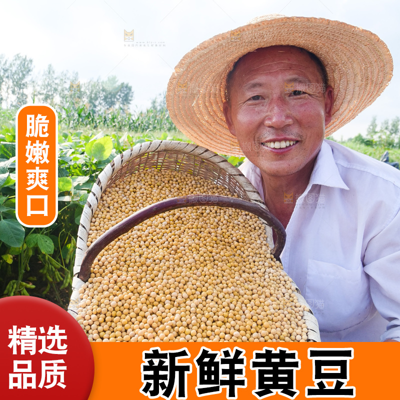 手里拿着黄豆