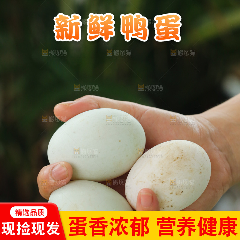 深底上的鸭蛋