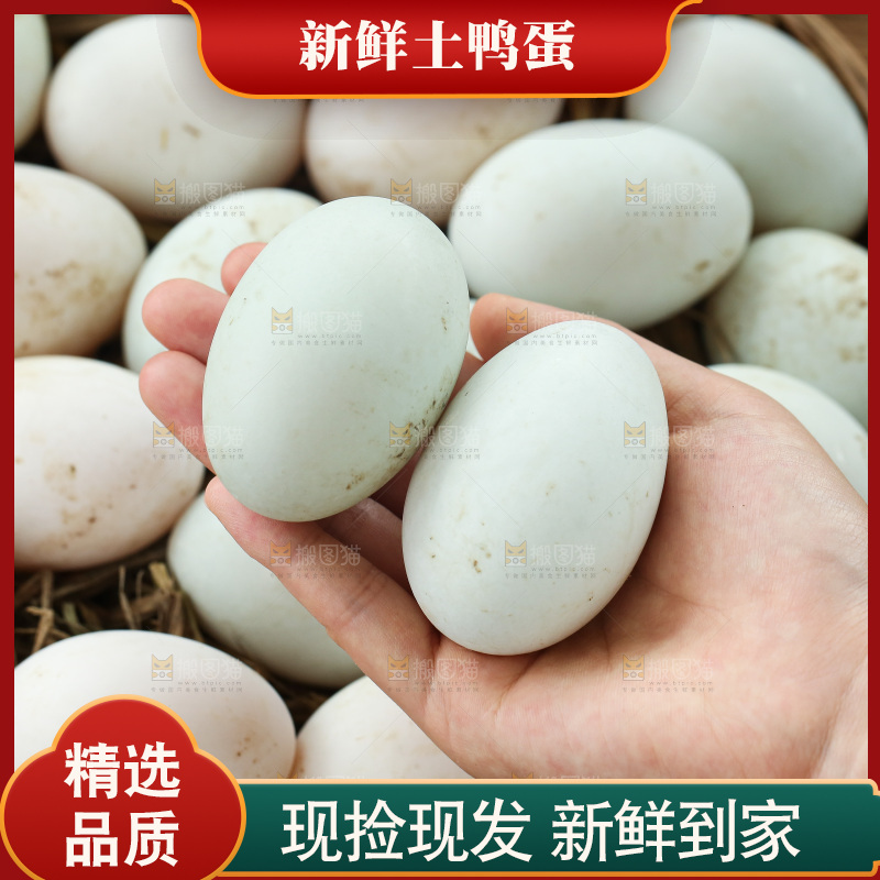 深底上的鸭蛋