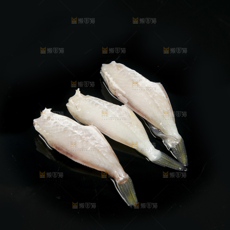 深底上的耗儿鱼