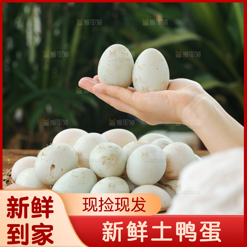 深底上的鸭蛋