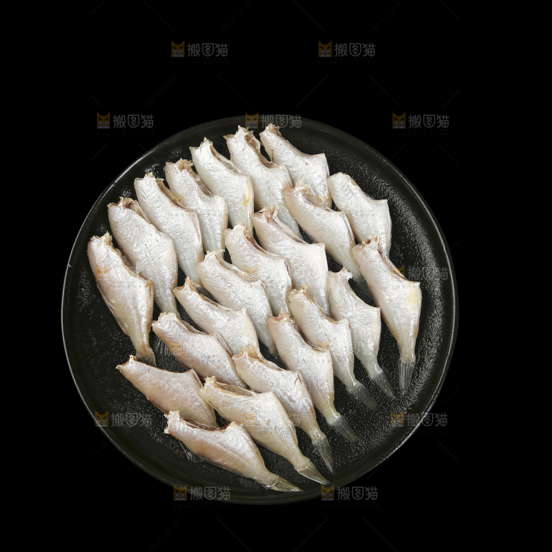 深底上的耗儿鱼