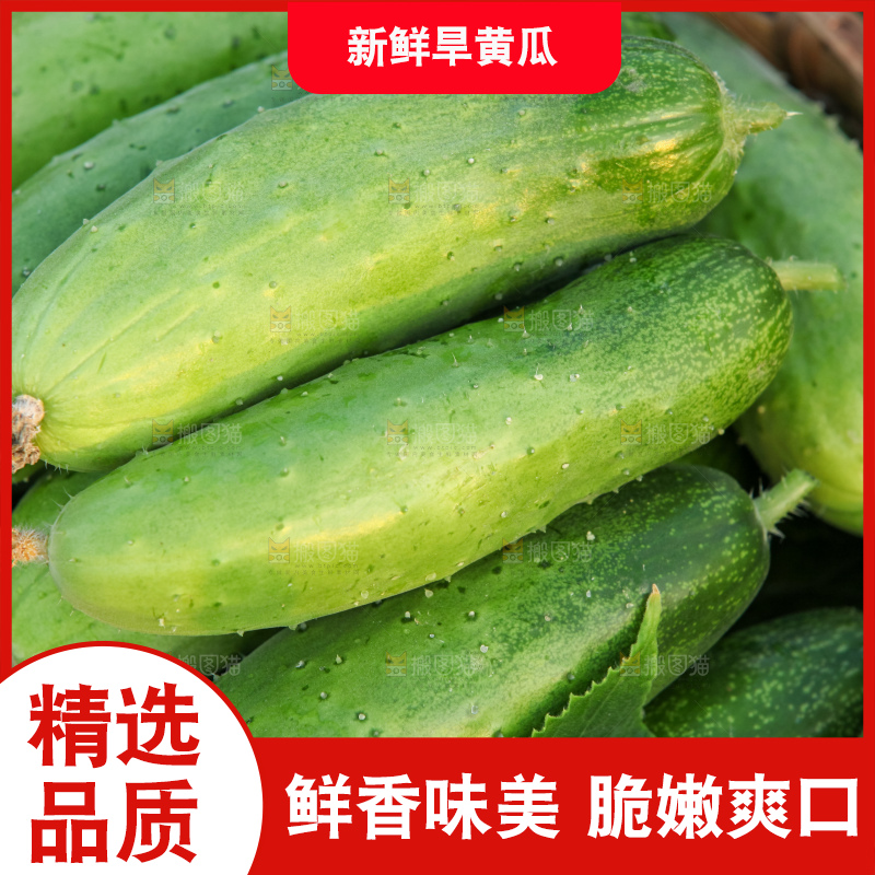 手里拿着刺黄瓜