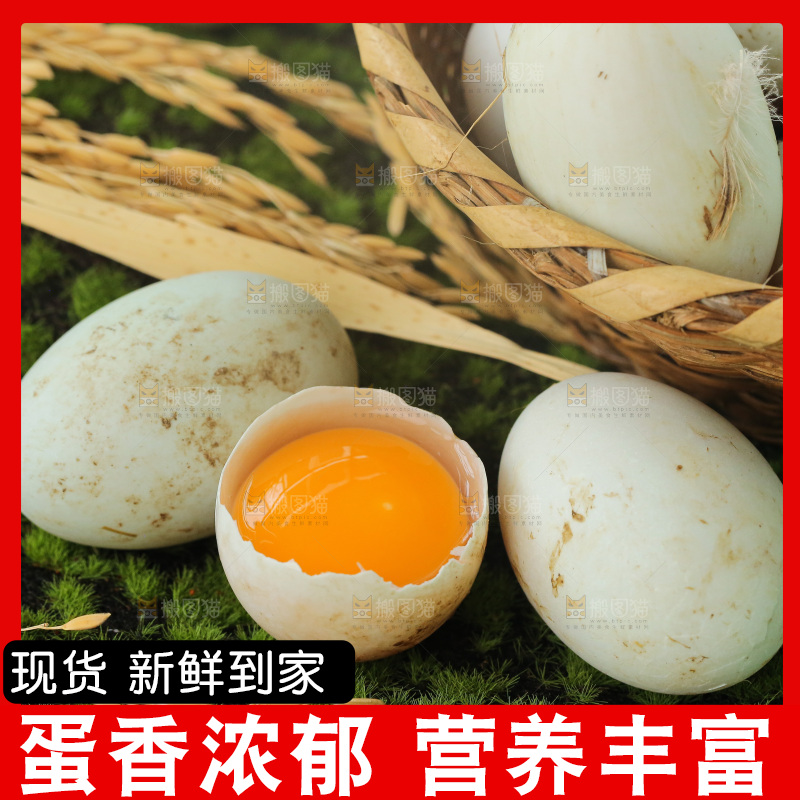 深底上的鸭蛋