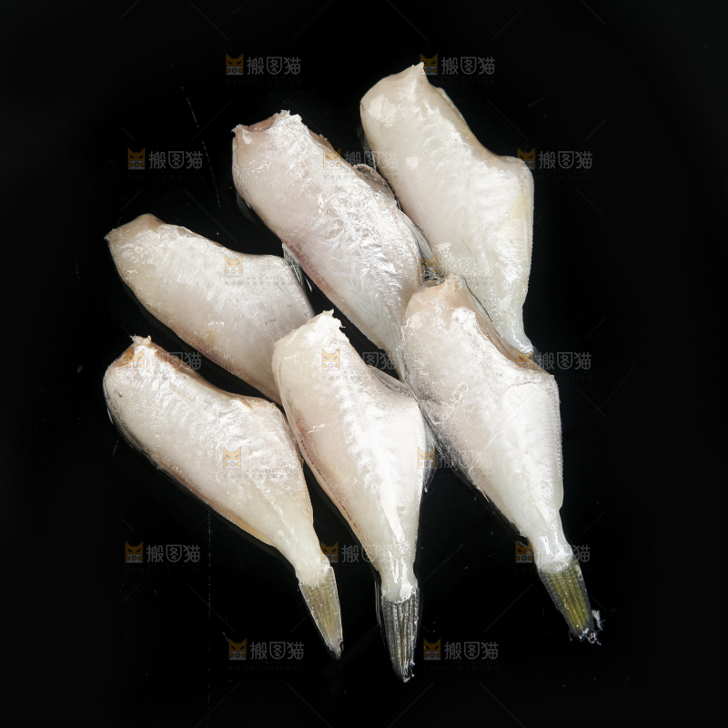 深底上的耗儿鱼