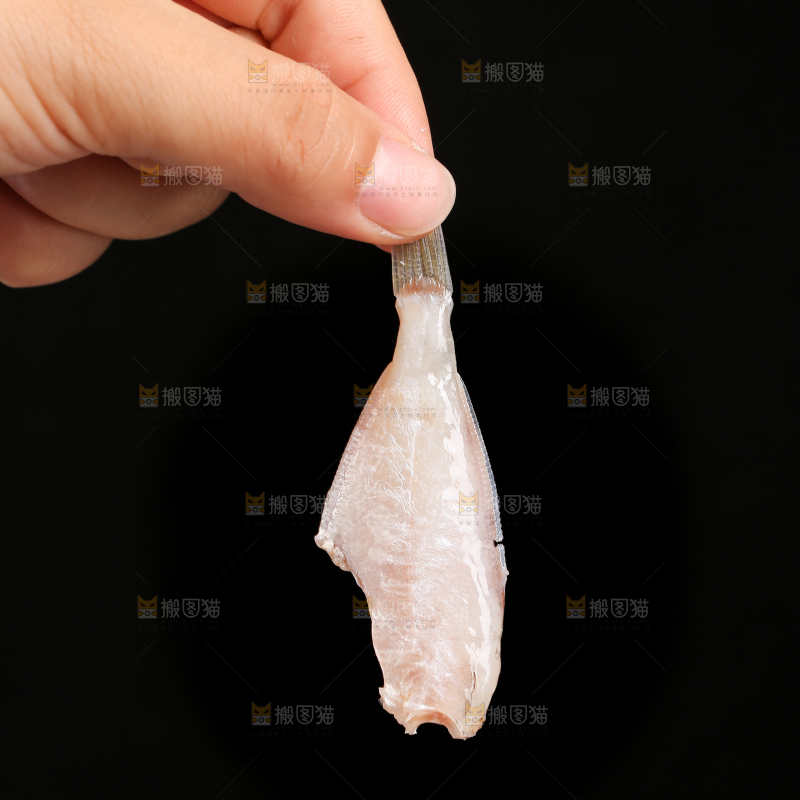 深底上的耗儿鱼