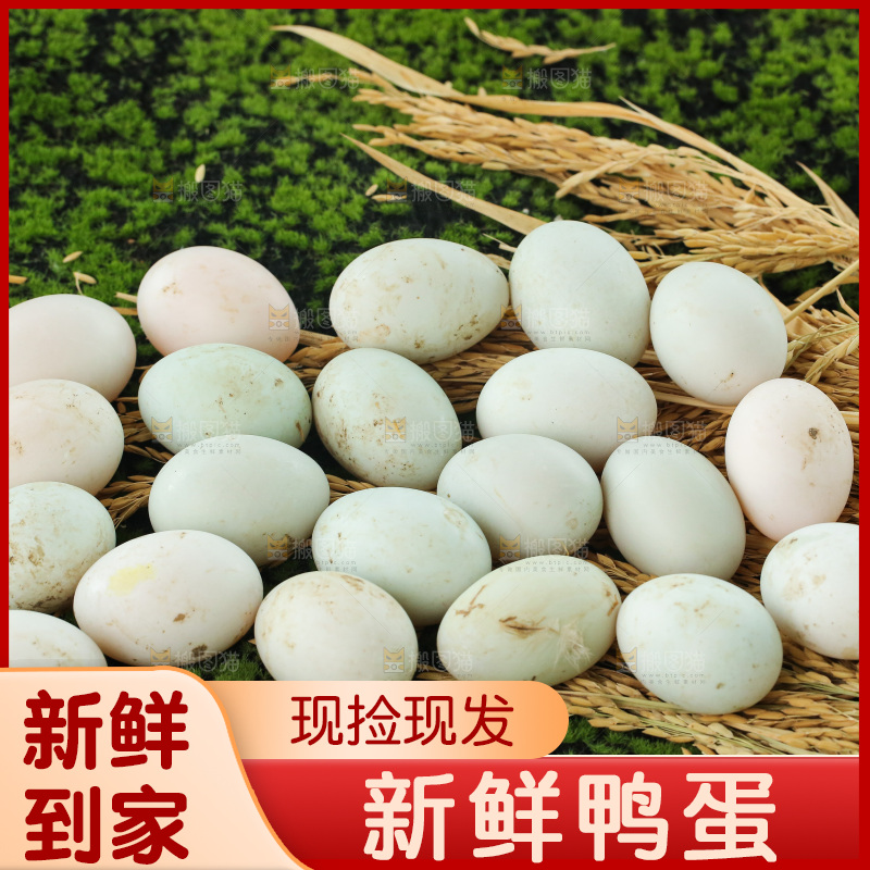 深底上的鸭蛋