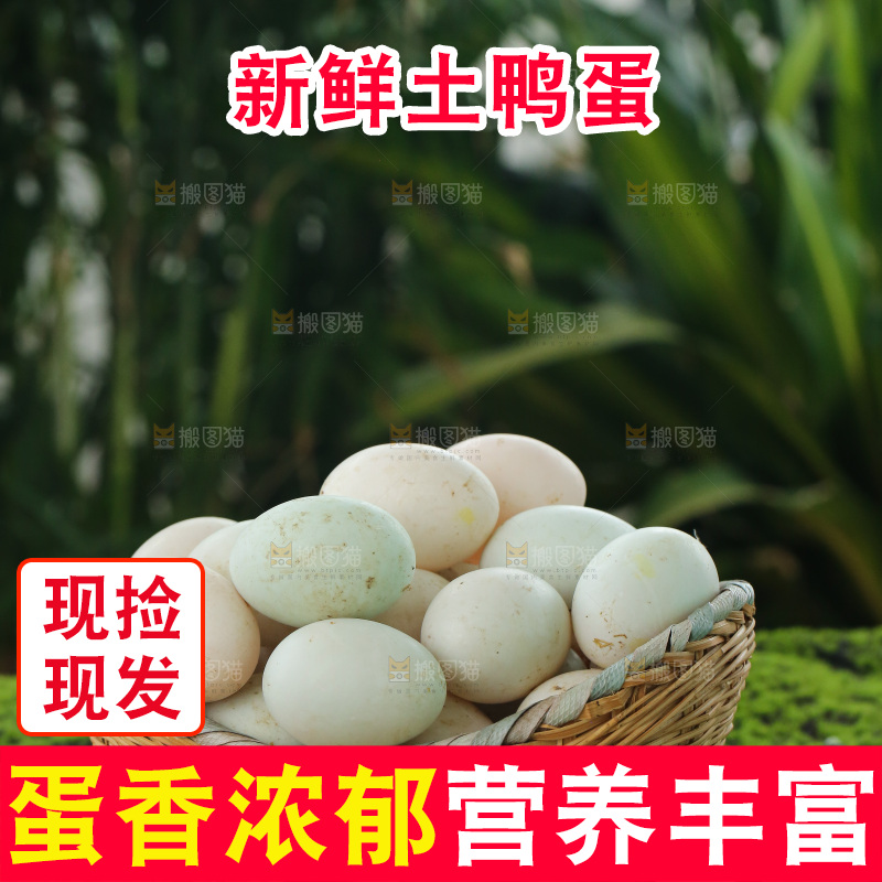 深底上的鸭蛋