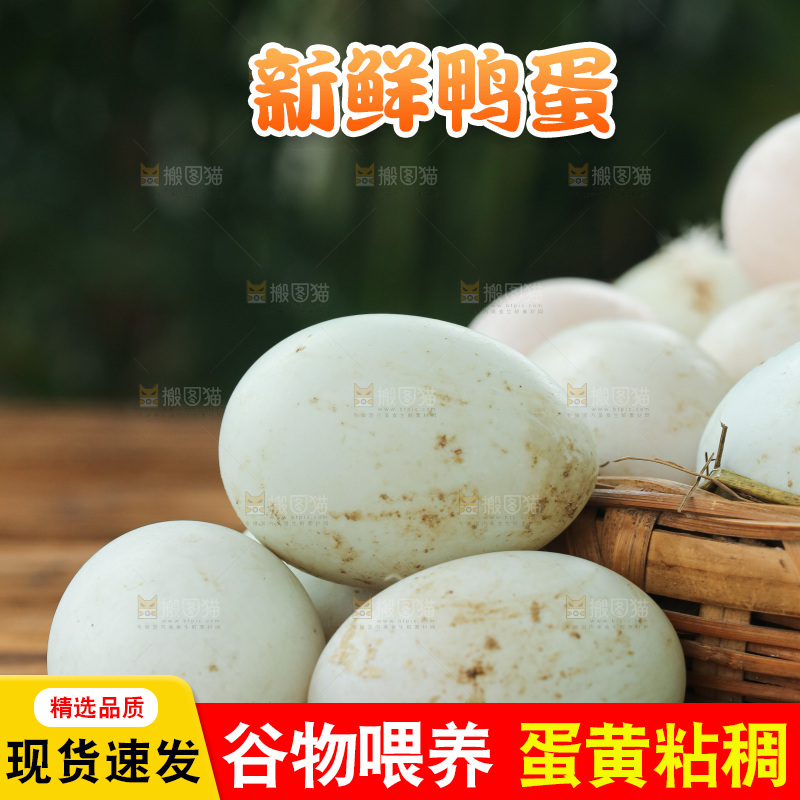 深底上的鸭蛋