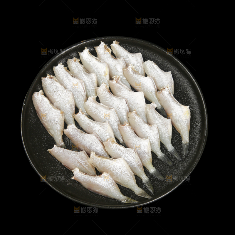深底上的耗儿鱼