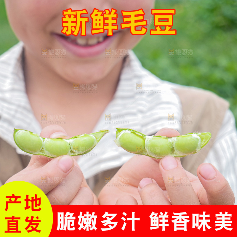 手里拿着现摘毛豆