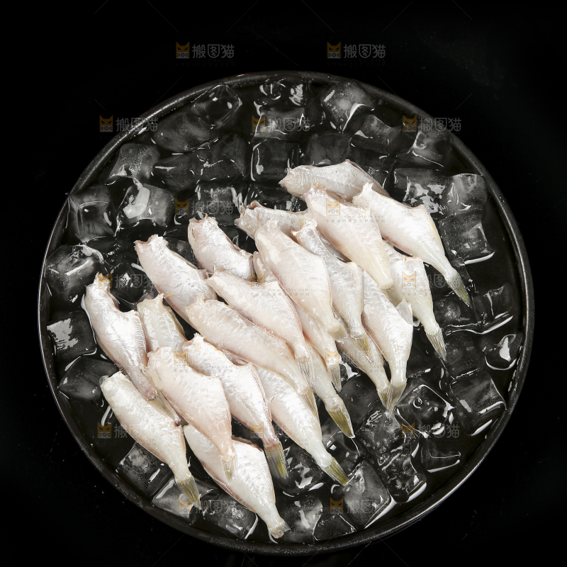 深底上的耗儿鱼