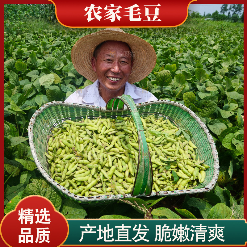 手里拿着现摘毛豆