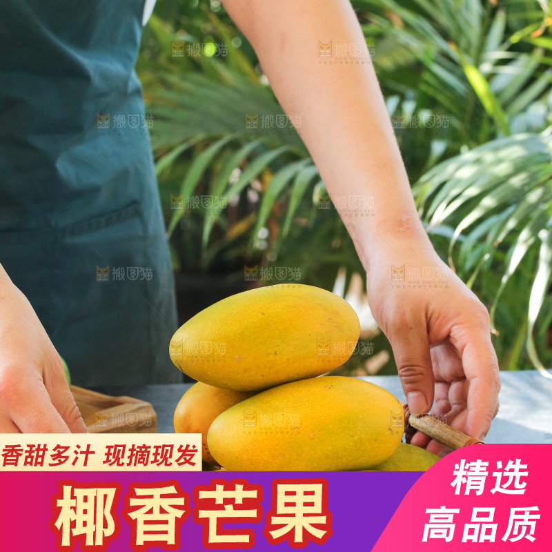 手里拿着椰香芒