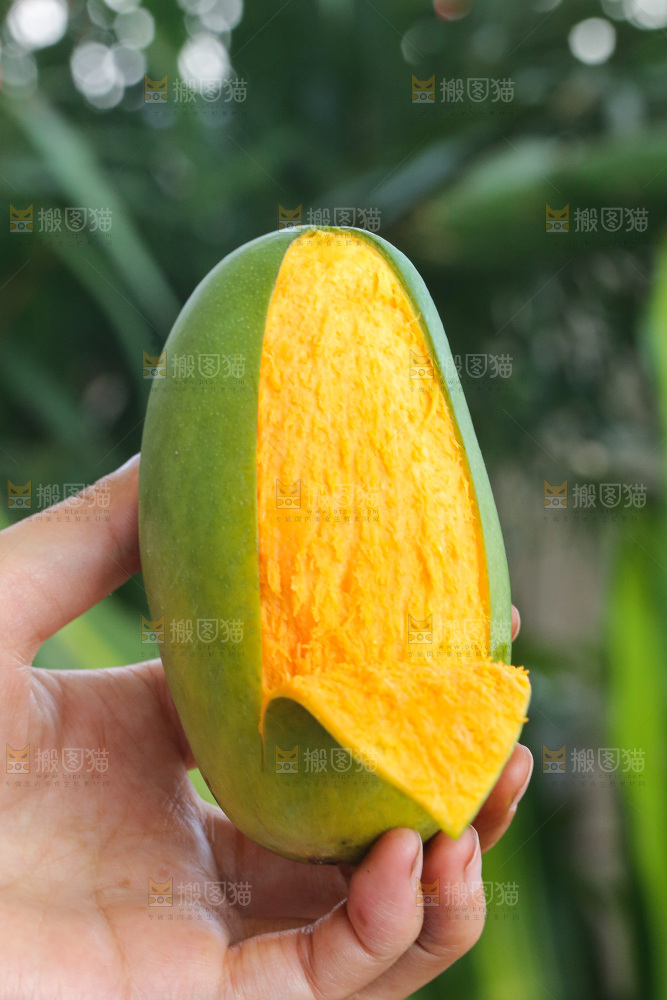 手里拿着椰香芒
