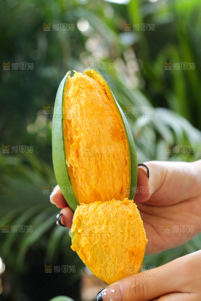 深底上的椰香芒