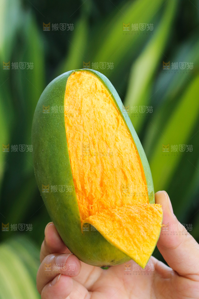 手里拿着椰香芒