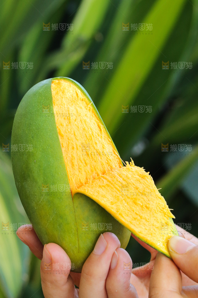 手里拿着椰香芒
