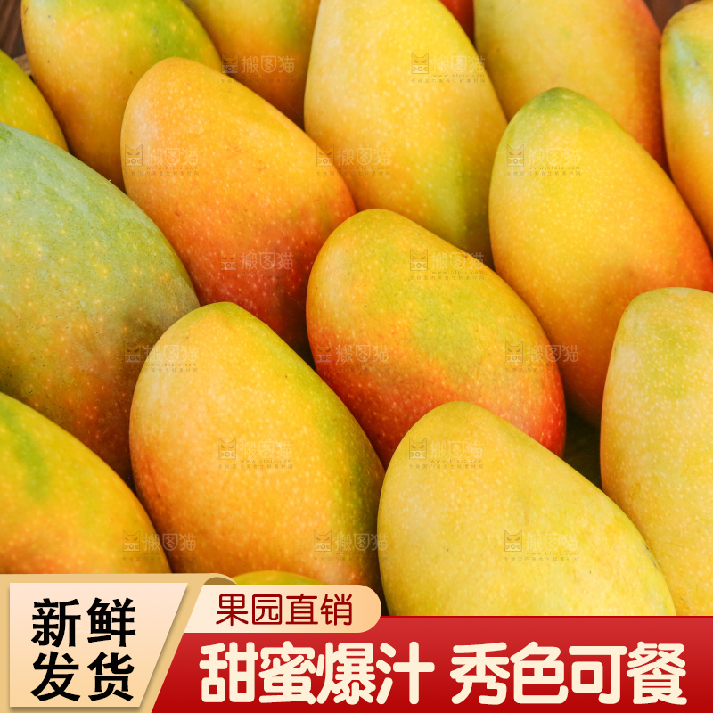 深底上的贵妃芒