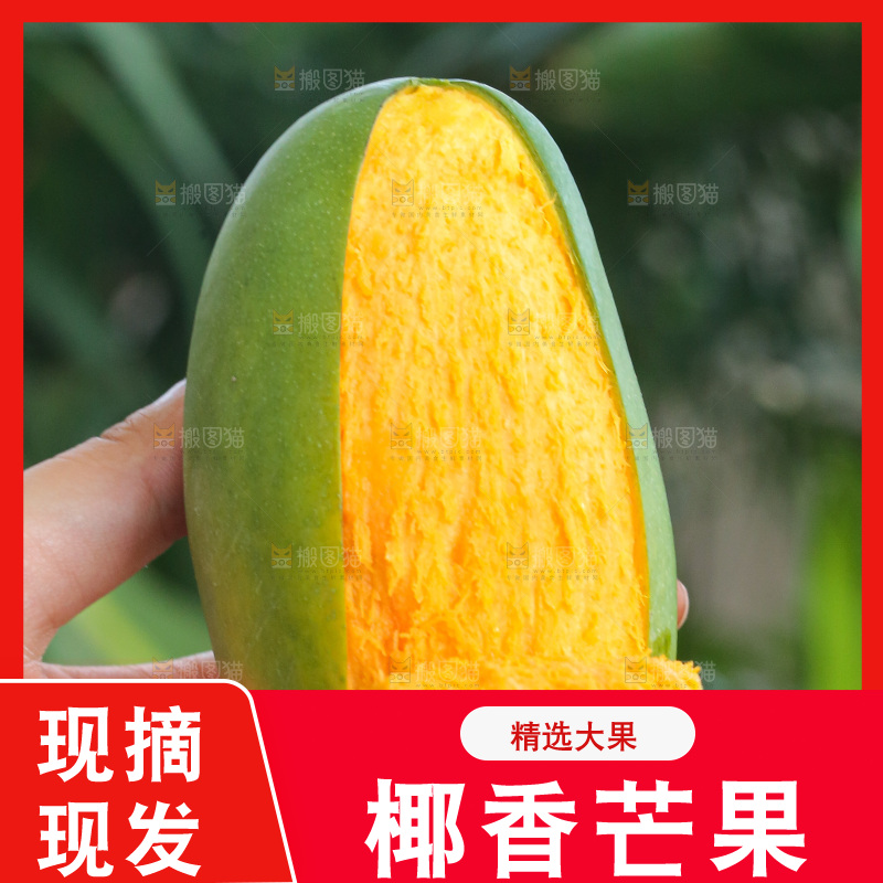 手里拿着椰香芒