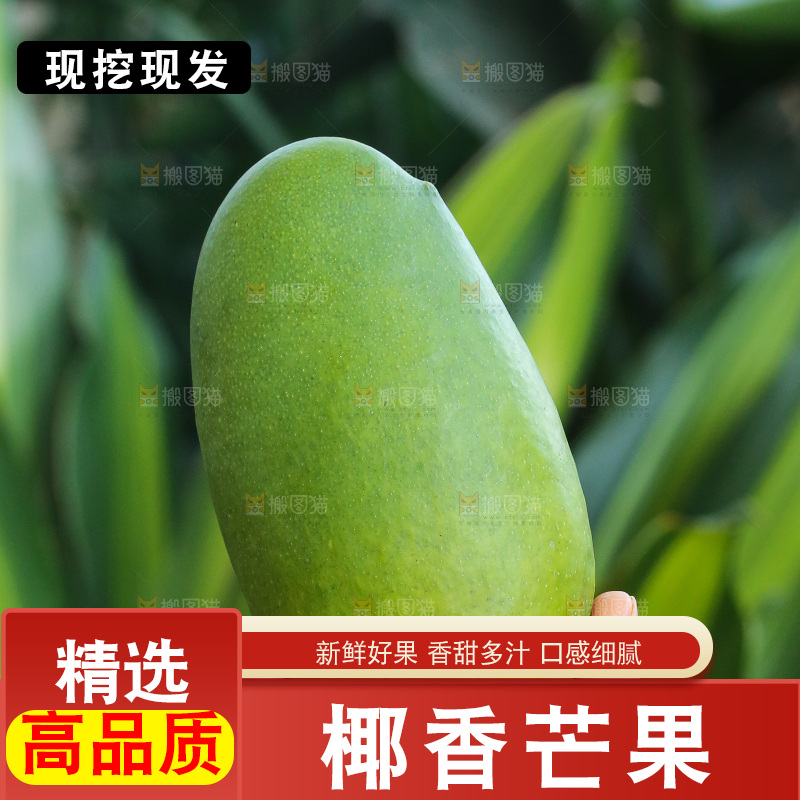 手里拿着椰香芒
