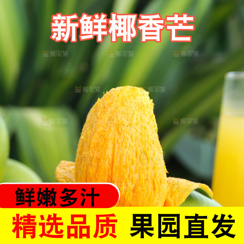 深底上的椰香芒