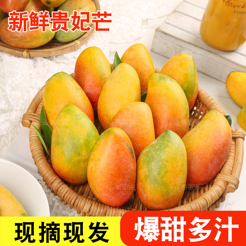 浅底上的贵妃芒