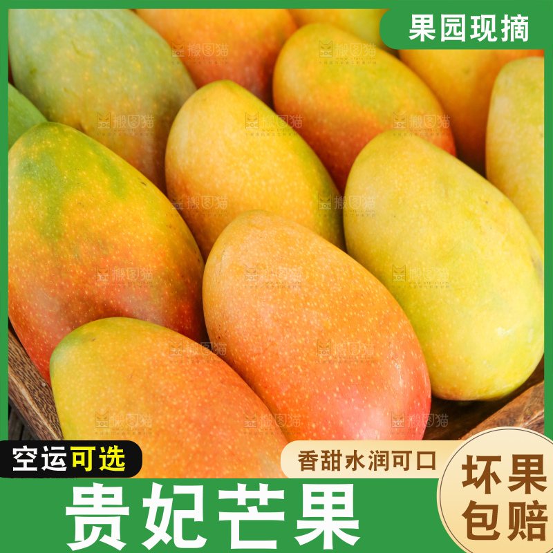 深底上的贵妃芒