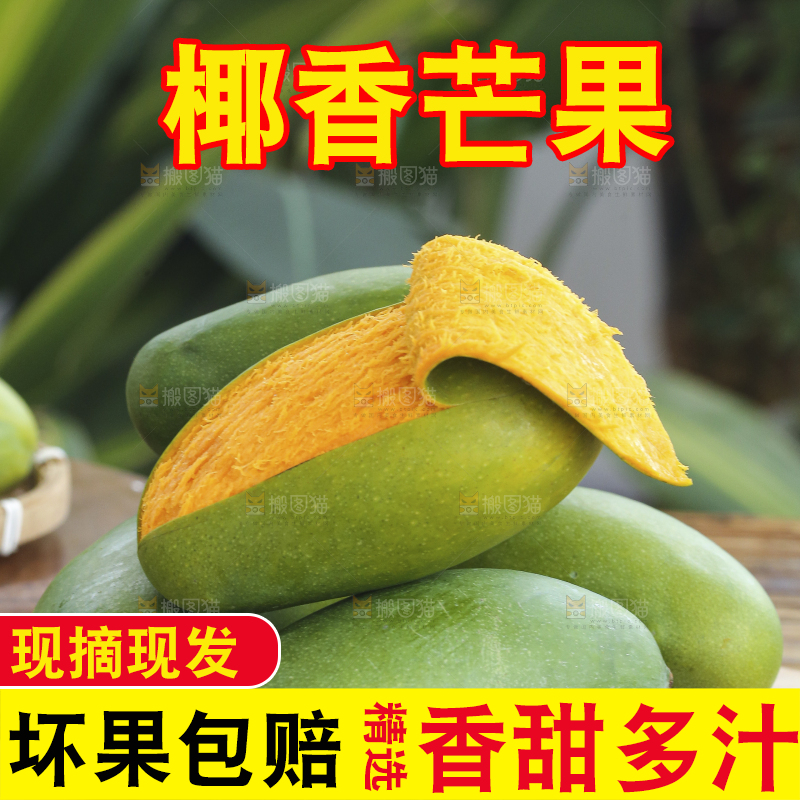 深底上的椰香芒