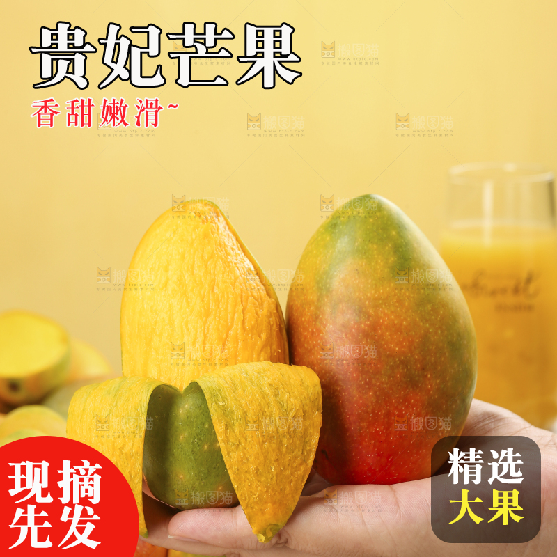 浅底上的贵妃芒