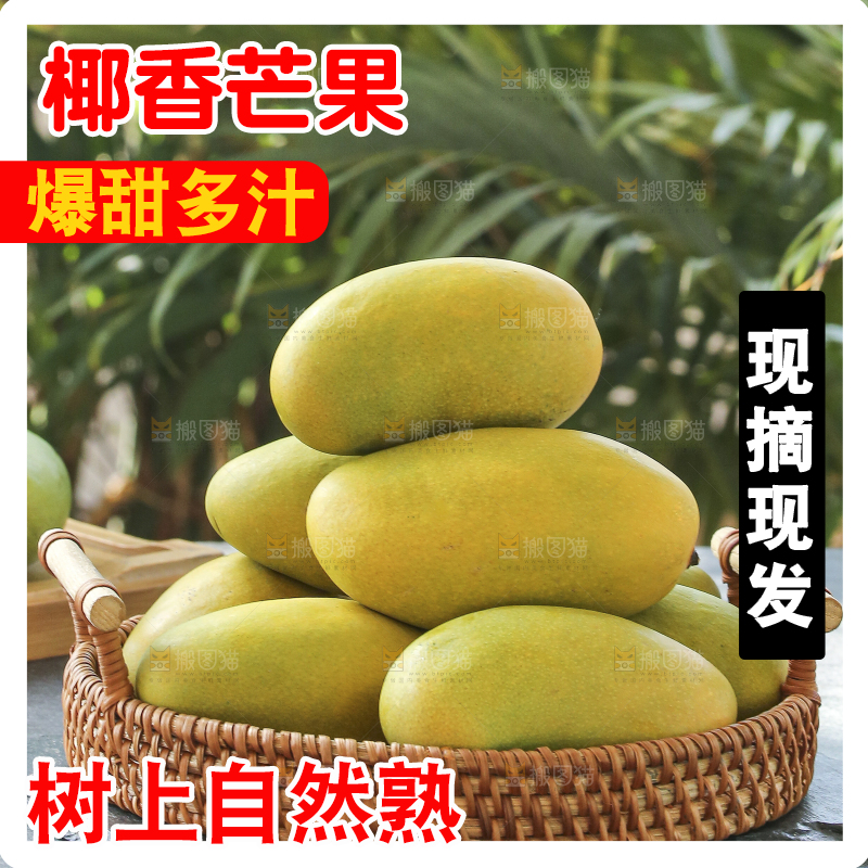 深底上的椰香芒