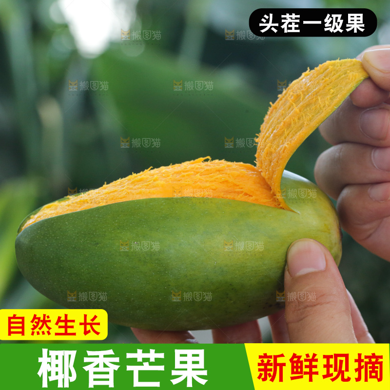 手里拿着椰香芒