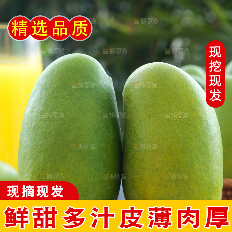 深底上的椰香芒