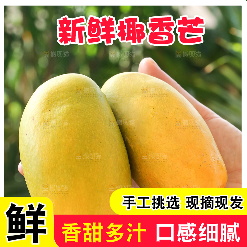 手里拿着椰香芒
