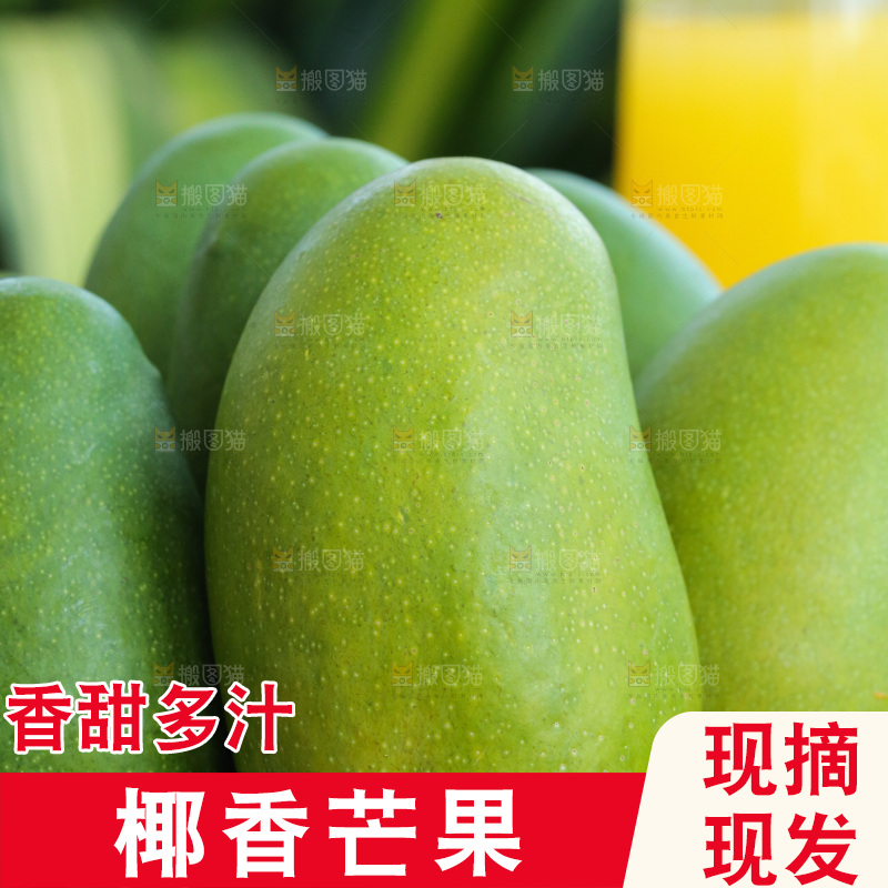 深底上的椰香芒